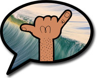 Screenshot of the SBCSAE surfer